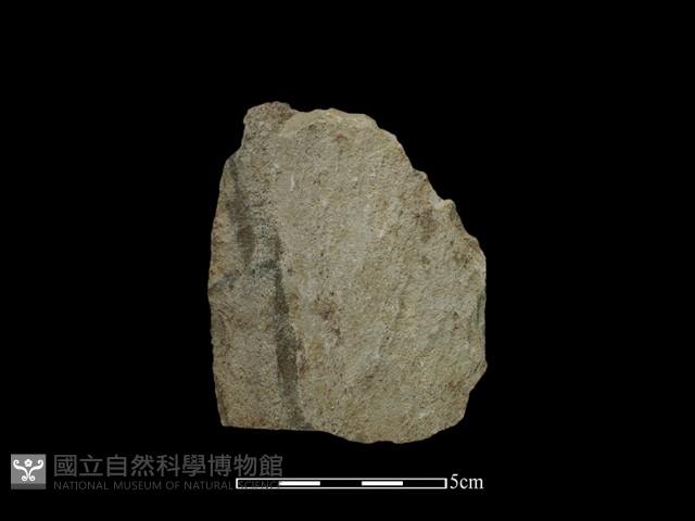 斧鋤形器藏品圖，第2張