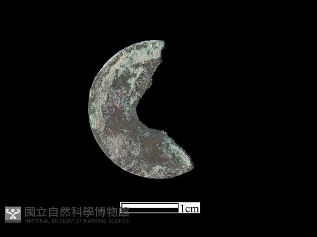 銅錢藏品圖，第2張