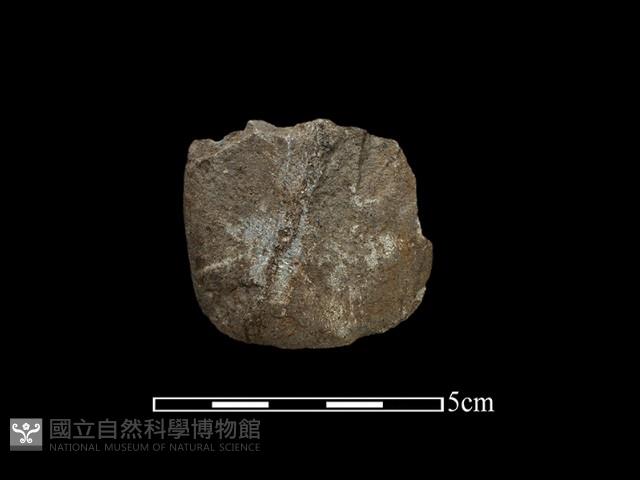 磨製石器藏品圖，第1張