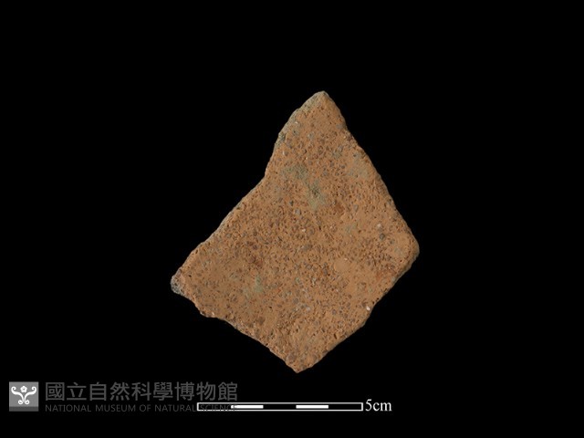陶片藏品圖，第2張