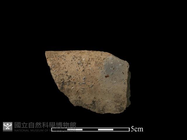 陶片藏品圖，第1張