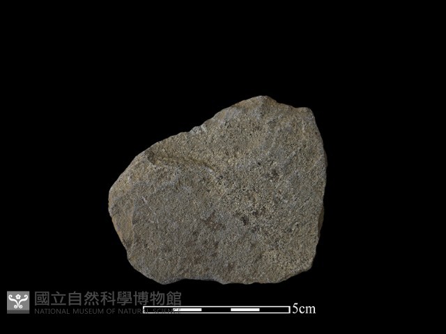 石片器藏品圖，第1張