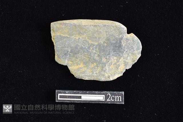 網墜藏品圖，第2張