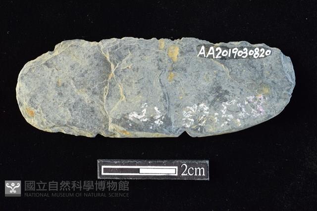 網墜藏品圖，第2張