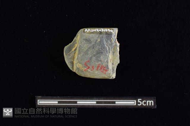 網墜藏品圖，第2張