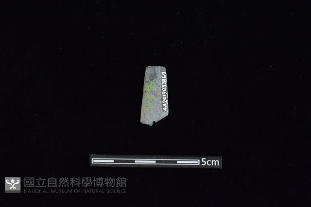 矛鏃形器藏品圖，第2張