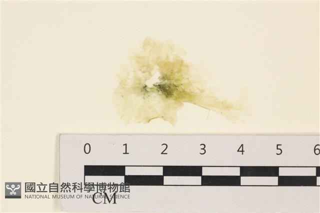 登錄號:A00001842藏品圖，第1張