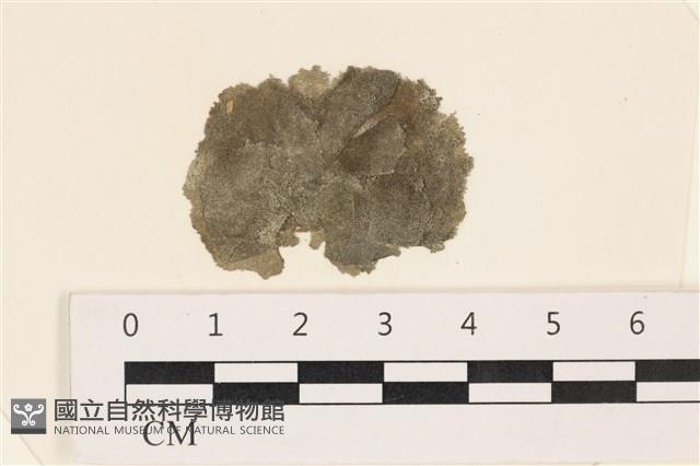 登錄號:A00002882藏品圖，第1張
