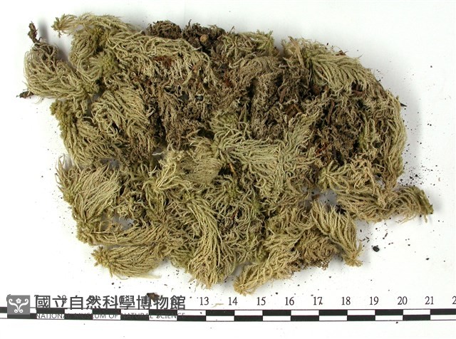 登錄號:B00003878藏品圖，第3張