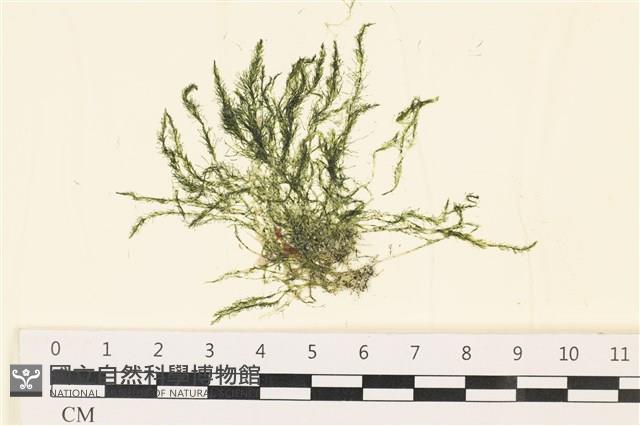 登錄號:A00000844藏品圖，第1張