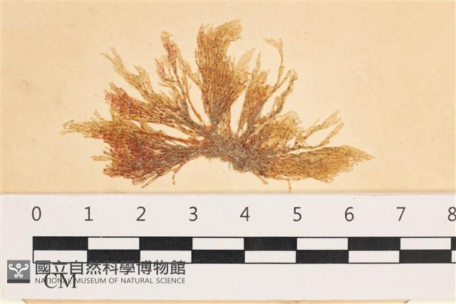 登錄號:A00003871藏品圖，第1張