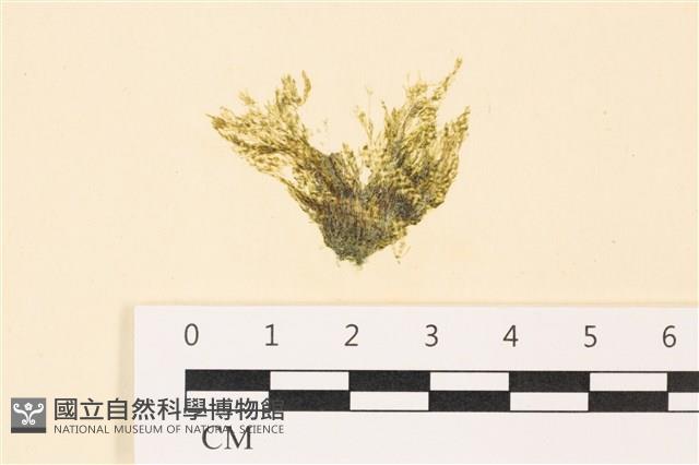 登錄號:A00004991藏品圖，第1張