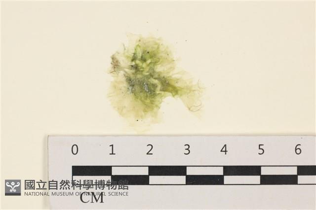 登錄號:A00001841藏品圖，第1張