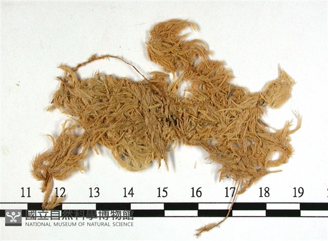登錄號:B00010101藏品圖，第3張