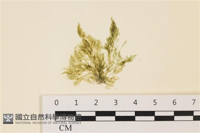 登錄號:A00004960藏品圖，第1張