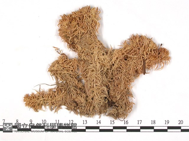 登錄號:B00003163藏品圖，第3張