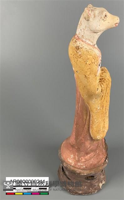 加彩鼠甬藏品圖，第5張