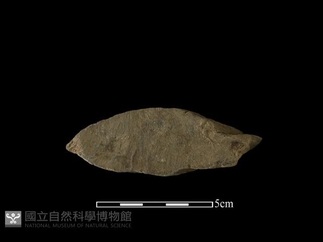 帶加工痕石材藏品圖，第1張