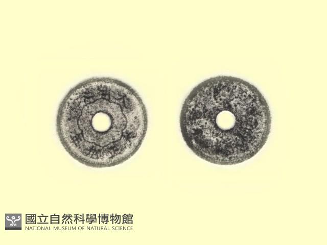 銅錢藏品圖，第1張