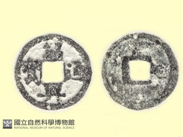 銅錢藏品圖，第3張