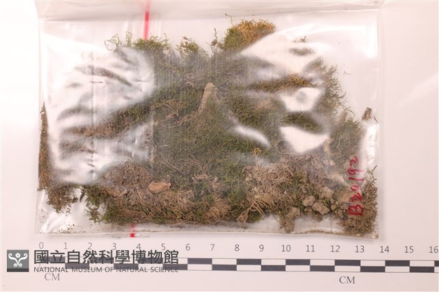 登錄號:B00020192藏品圖，第1張