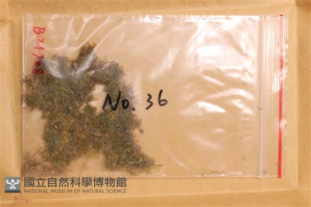 登錄號:B00021708藏品圖，第1張