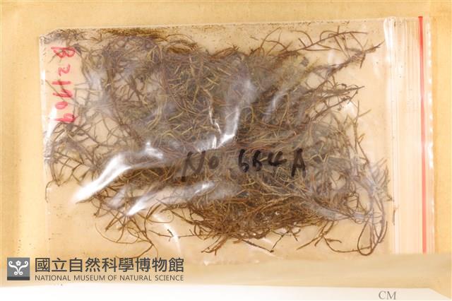 登錄號:B00021709藏品圖，第1張