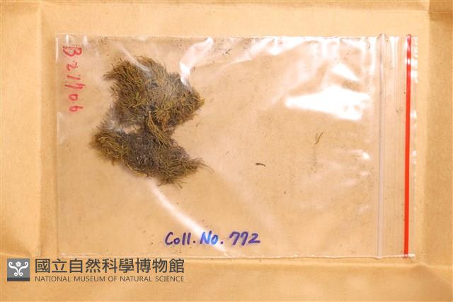 登錄號:B00021706藏品圖，第1張