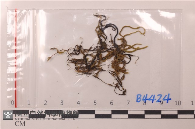 登錄號:B00004424藏品圖，第1張