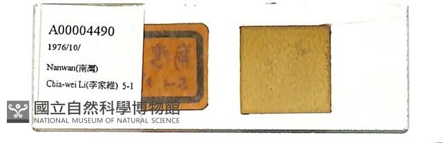 登錄號:A00004490藏品圖，第1張