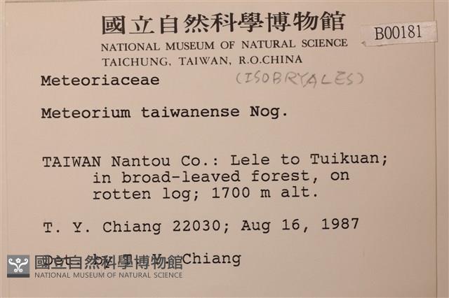 登錄號:B00000181藏品圖，第2張