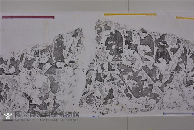 武梁祠畫像石拓片60藏品圖，第8張