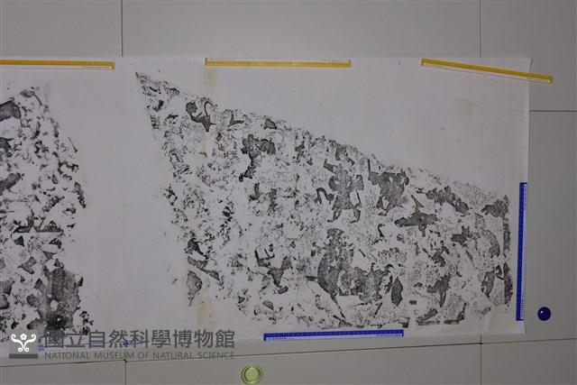 武梁祠畫像石拓片61藏品圖，第6張
