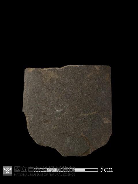 巴圖形器藏品圖，第2張