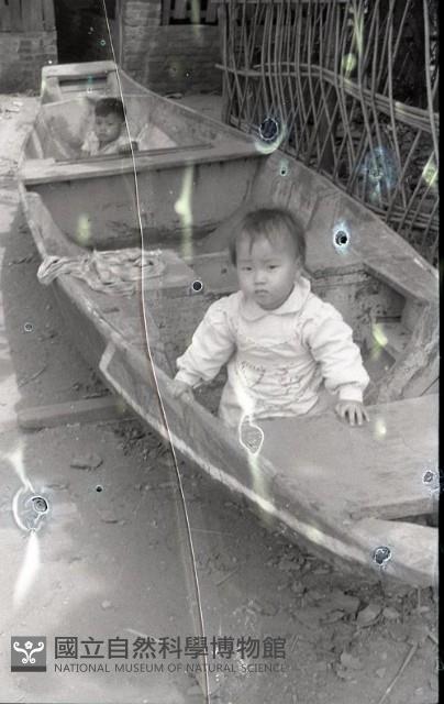 1950至2006年臺灣常民生活藏品圖，第1張