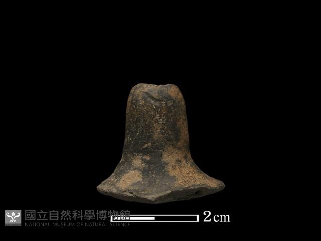 紡輪藏品圖，第2張