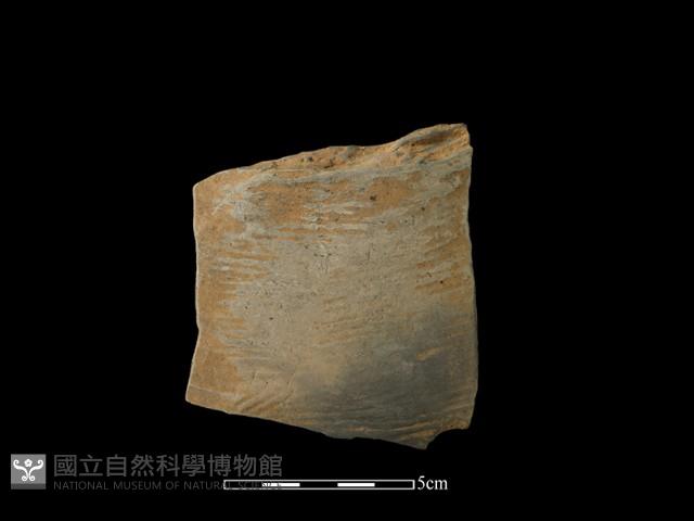 陶片藏品圖，第2張