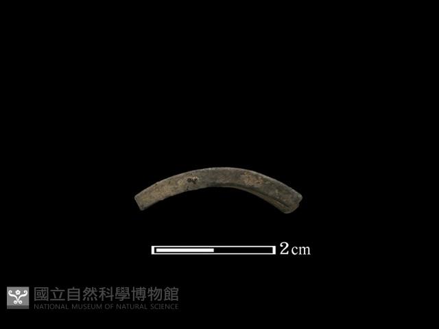 陶環藏品圖，第2張