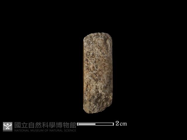 錛鑿形器藏品圖，第2張