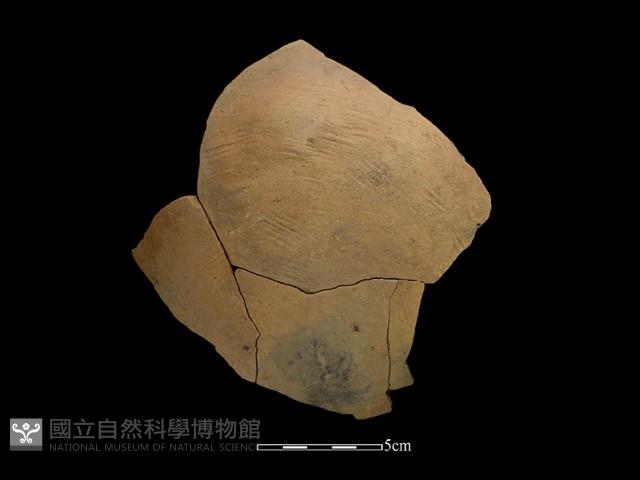 陶罐藏品圖，第1張