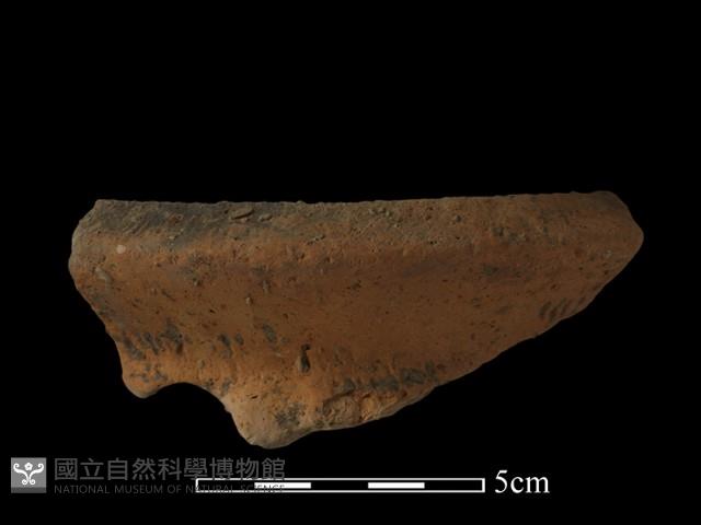 陶罐藏品圖，第2張