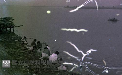 1950至2006年臺灣常民生活藏品圖，第1張
