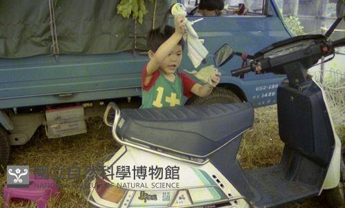 1950至2006年臺灣常民生活藏品圖，第1張