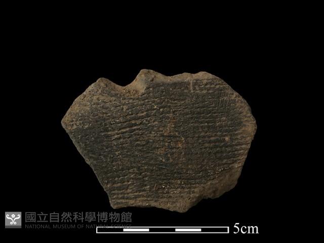 陶片藏品圖，第1張