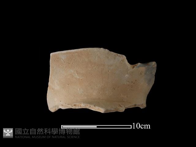 陶罐藏品圖，第1張