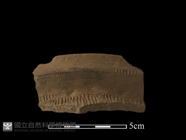 陶罐藏品圖，第1張