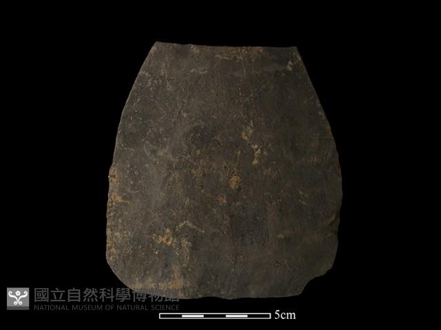 陶片藏品圖，第2張