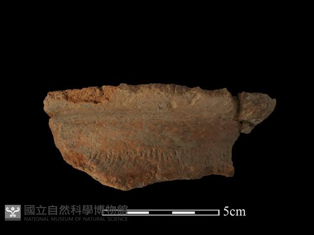 陶罐藏品圖，第2張