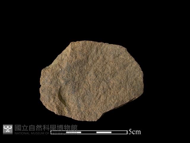 石片器藏品圖，第2張