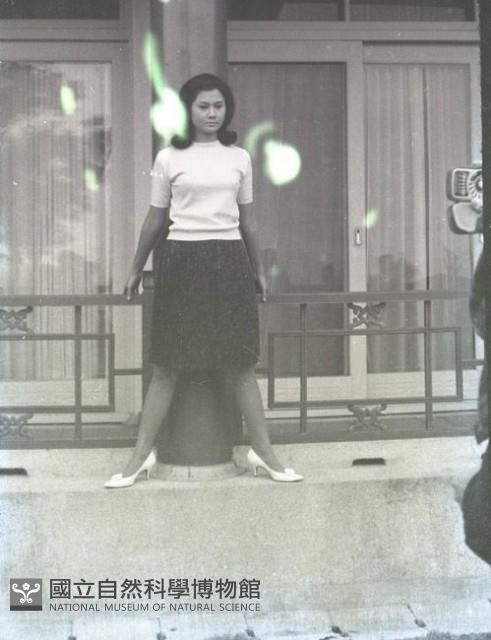1950至2006年臺灣常民生活藏品圖，第1張